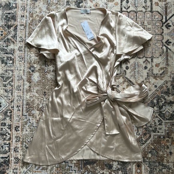 Urban Outfitters Champagne Dress - Picture 2 of 3